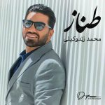 دانلود آهنگ جدید محمد زند وکیلی طناز